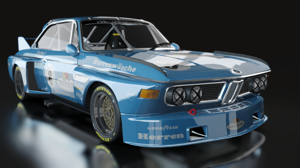 ACL GTR BMW CSL 3.0, skin 14