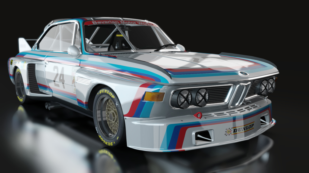 ACL GTR BMW CSL 3.0, skin bmw24