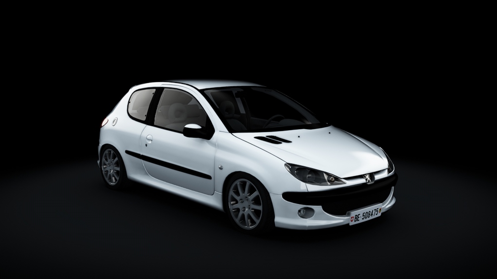 Peugeot 206 1.1 60cv, skin White