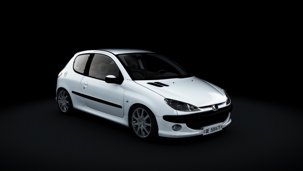 Peugeot 206 1.4hdi 68cv, skin White