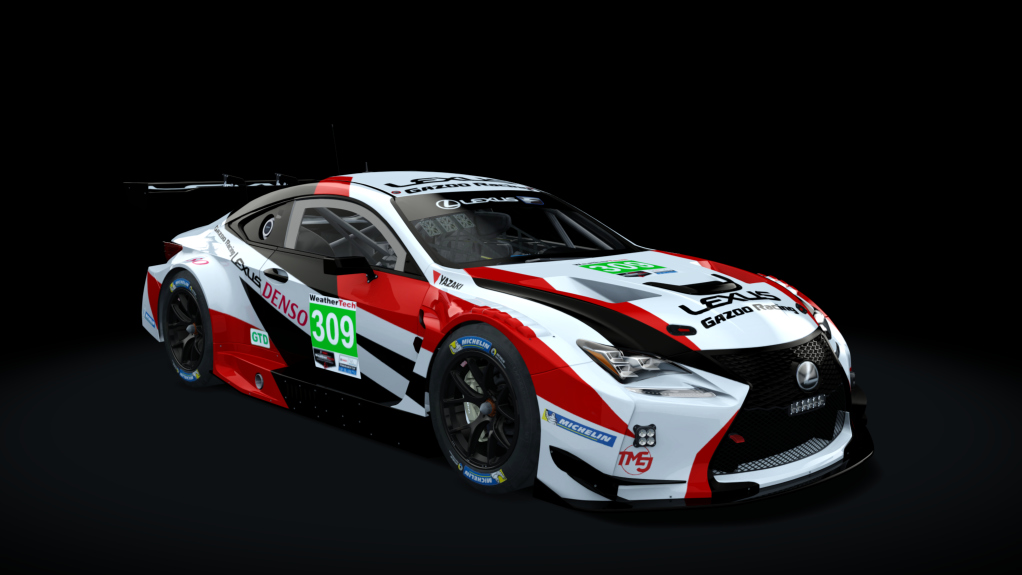 Lexus RC F GT3 ACC, skin Instant_gamer_309