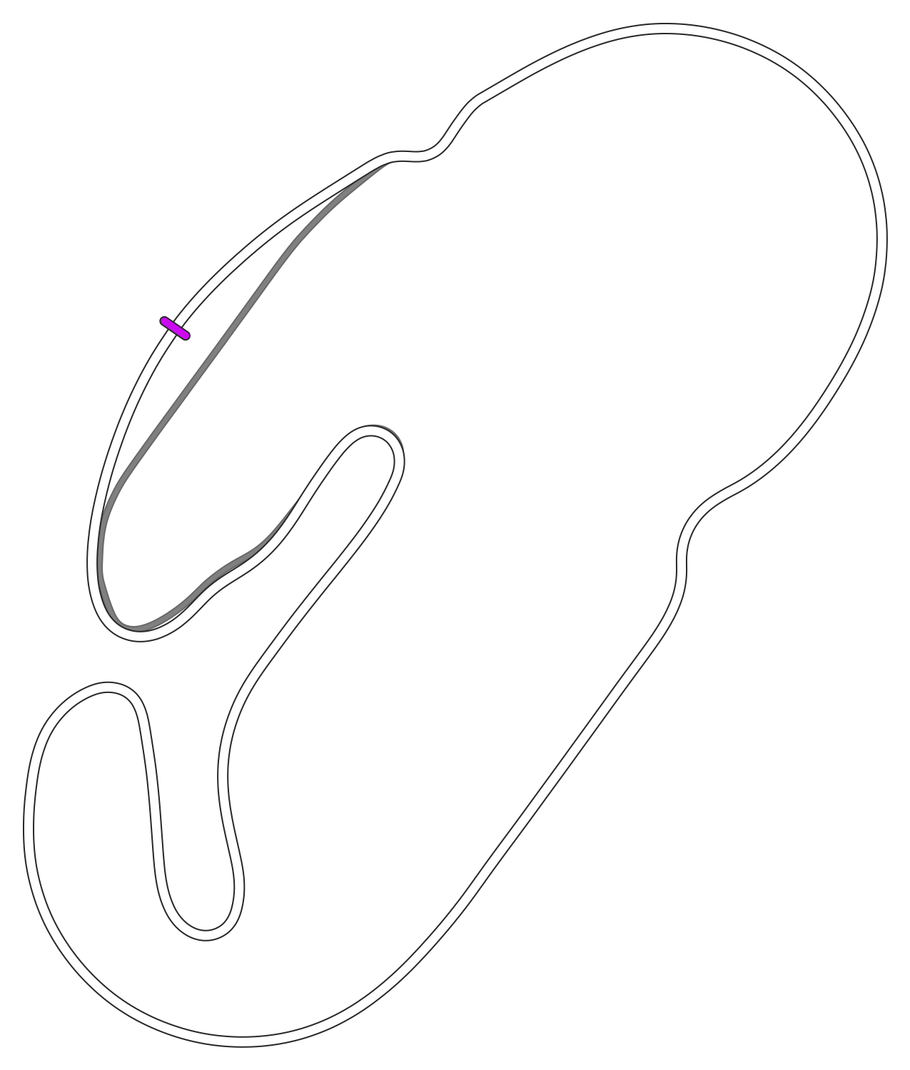 nascar_road_course