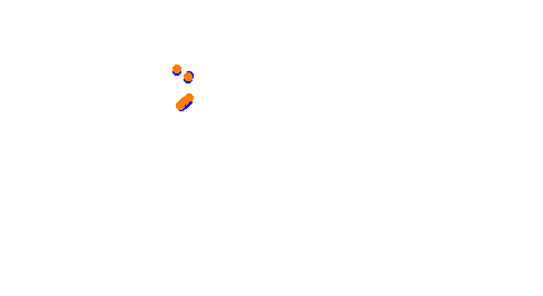 RX Holjes collisions