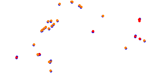 RX Holjes collisions